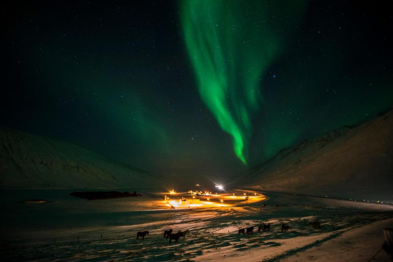 Hunaver Guesthouse Blonduos Eksteriør bilde